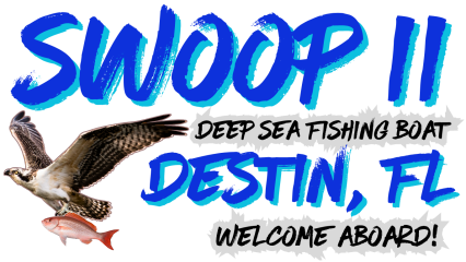 Swoop II Deep Sea Fishing